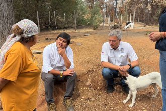 WhatsApp Image 2026-01-30 at 14.42.47.jpeg